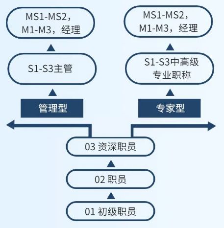 苏州有岗：光明牧业2023校园招聘启事