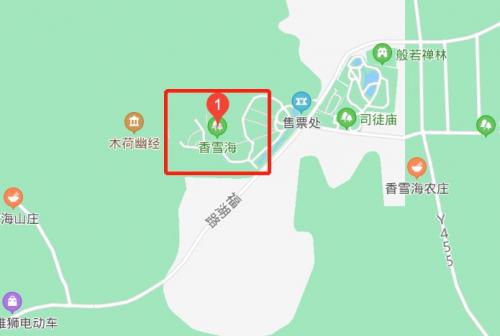 苏州香雪海樱花大道赏樱指南：最佳时间、路线和攻略