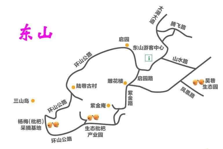 苏州东山的枇杷采摘基地及推荐采摘点